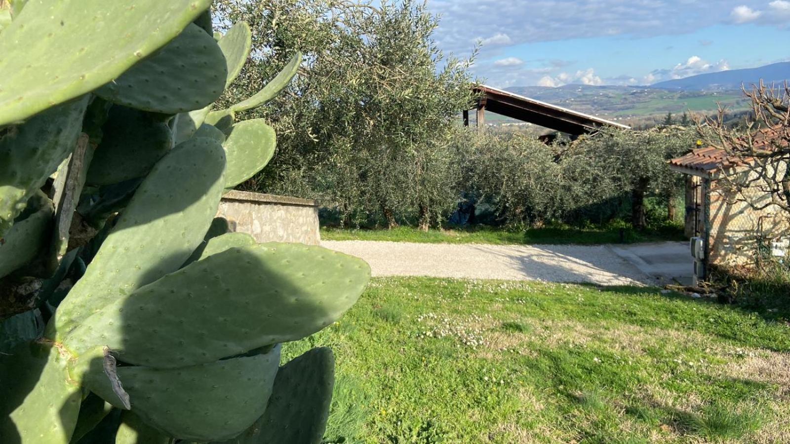 Вилла Casa Civico22 Fratta Todina Экстерьер фото